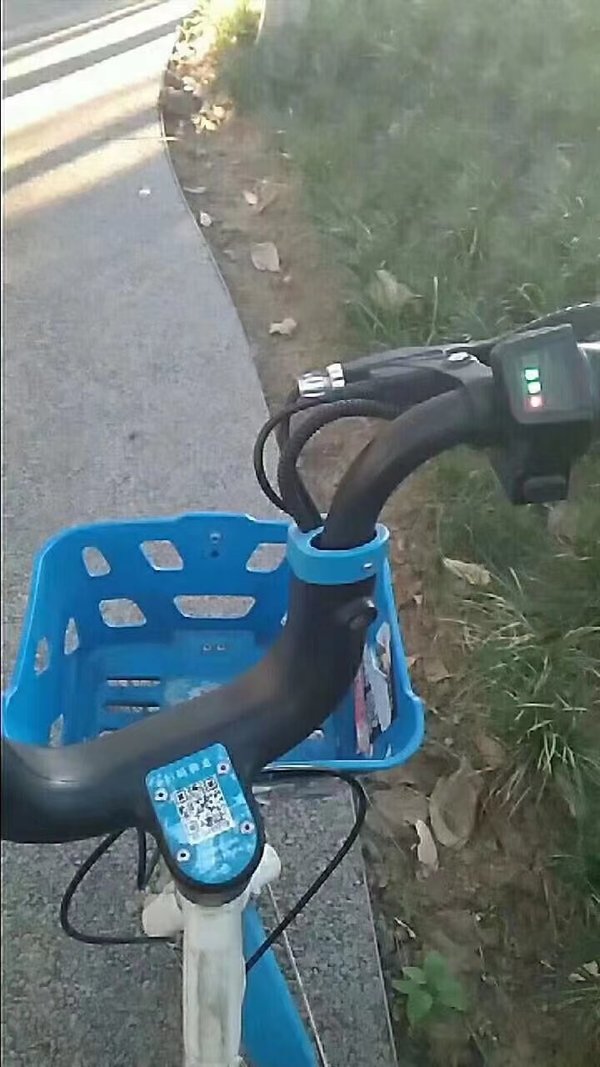 调查图片