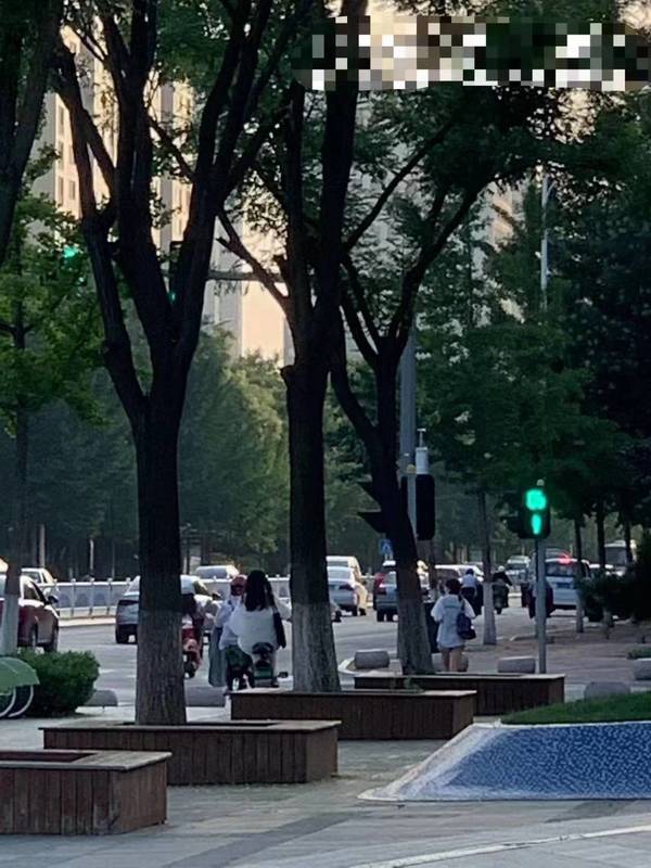 调查图片